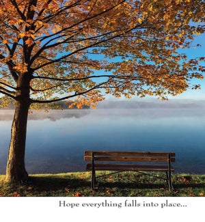 EN/Everything Falls Into Place