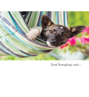 TH/Just Hanging Out