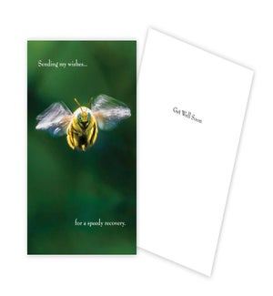 GW/Sending My Wishes