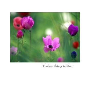 BD/The best things in life