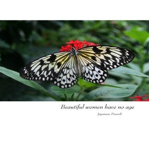 BD/Beautiful women have no age
