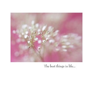 AN/The best things in life...
