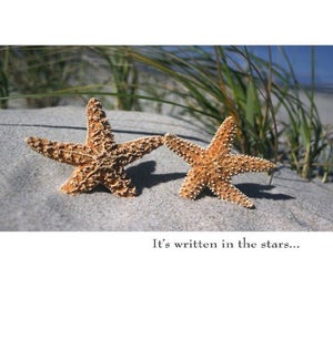 AN/It's written in the stars..