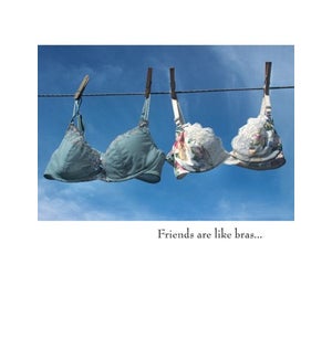 TY/Friends are like bras...