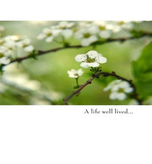SY/A life well lived...