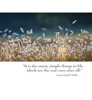 BL/It is the sweet simple