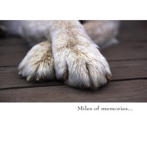 PSY/Miles of Memories (Pet)