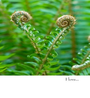 AN/I love...