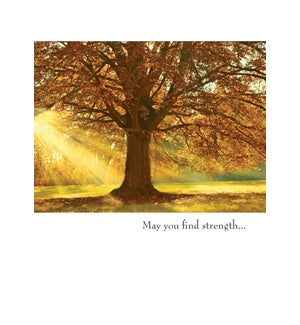 SY/May You Find Strength…