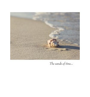 SY/The Sands Of Time