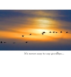 SY/Never easy to say goodbye…