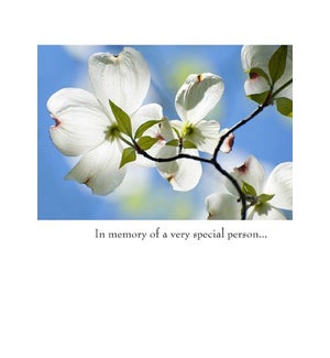 SY/Memory of a special person