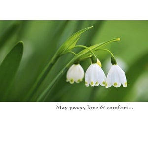 SY/May peace, love