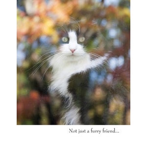 PSY/Not just a furry friend…