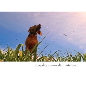 PSY/Loyalty