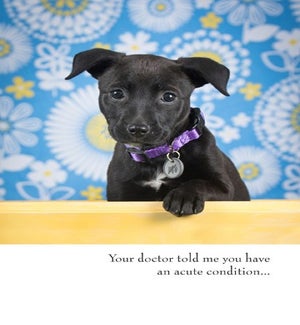 GW/An acute condition