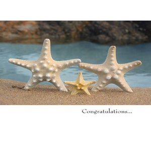 NB/Congratulations...