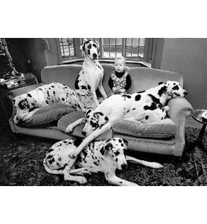 BL/Great Dane Dogs And Toddler