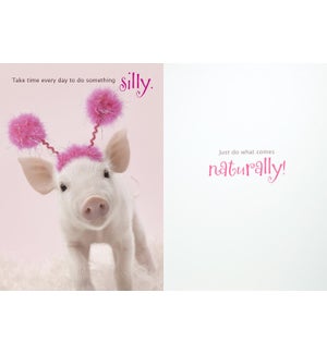 CO/Silly Pig