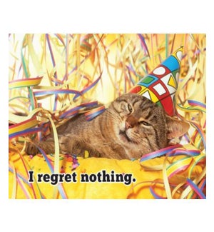 BD/No regrets party cat