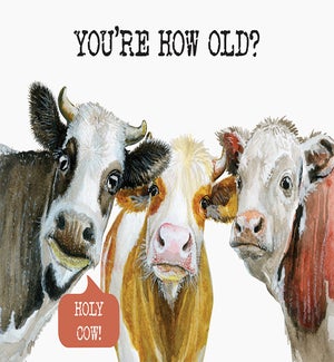BD/Holy Cow