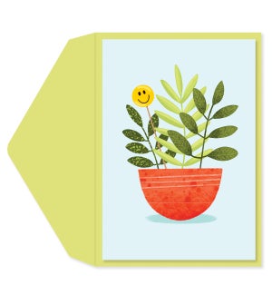 BL/Smile Flower Pot
