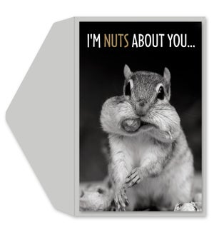 AN/Nuts About You