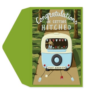 WD/Congratulations