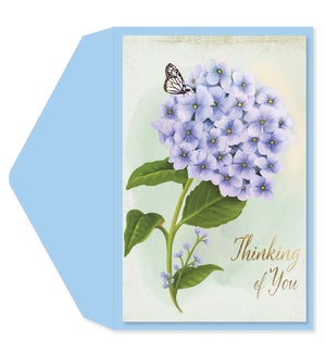GW/Thinking of You