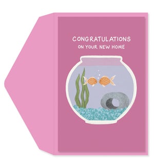 NH/Congrats Fishtank