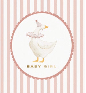 NB/Pink Goose
