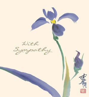 SY/Iris