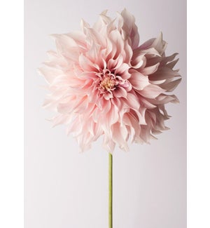 BL/Pink Flower