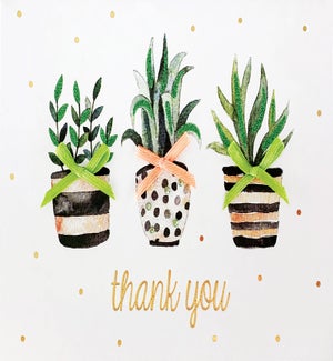 TY/Plants Thank You