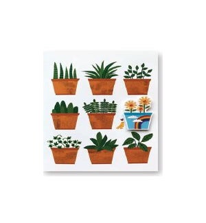 TY/Plants in Pots