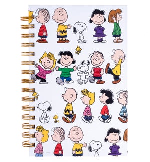 JOURNAL/Peanuts Gang*