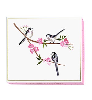 ASBOX/Birds
