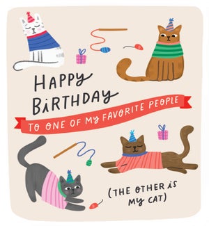BD/Fav Cat