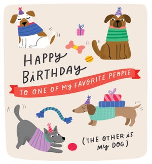 BD/Fav Dog