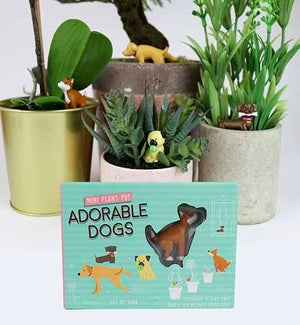 PLANTMARKERS/Adorable Dogs