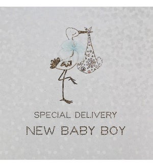 NB/Special Delivery Baby Boy