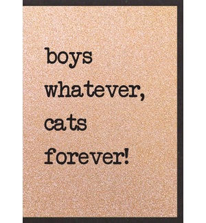 EDB/Boys Whatever Cat Forever
