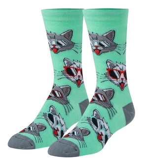 SOCKS/Cool Cats