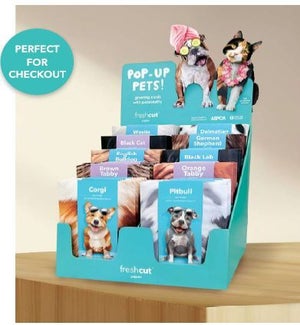 DISPLAY/Pet Pop Up Counter