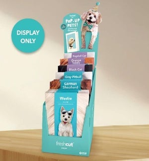 DISPLAY/Pet 6pkt Cardboard