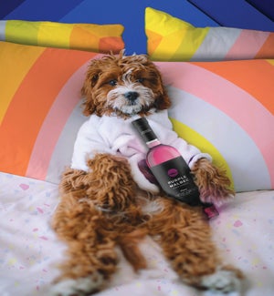 BD/Relaxing Pup