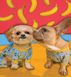 AN/Bananas About You