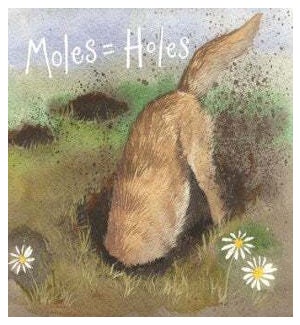 BL/Moles Holes