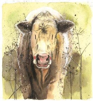 BL/Cow