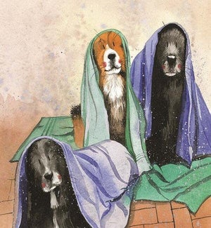 BL/Wet Towels